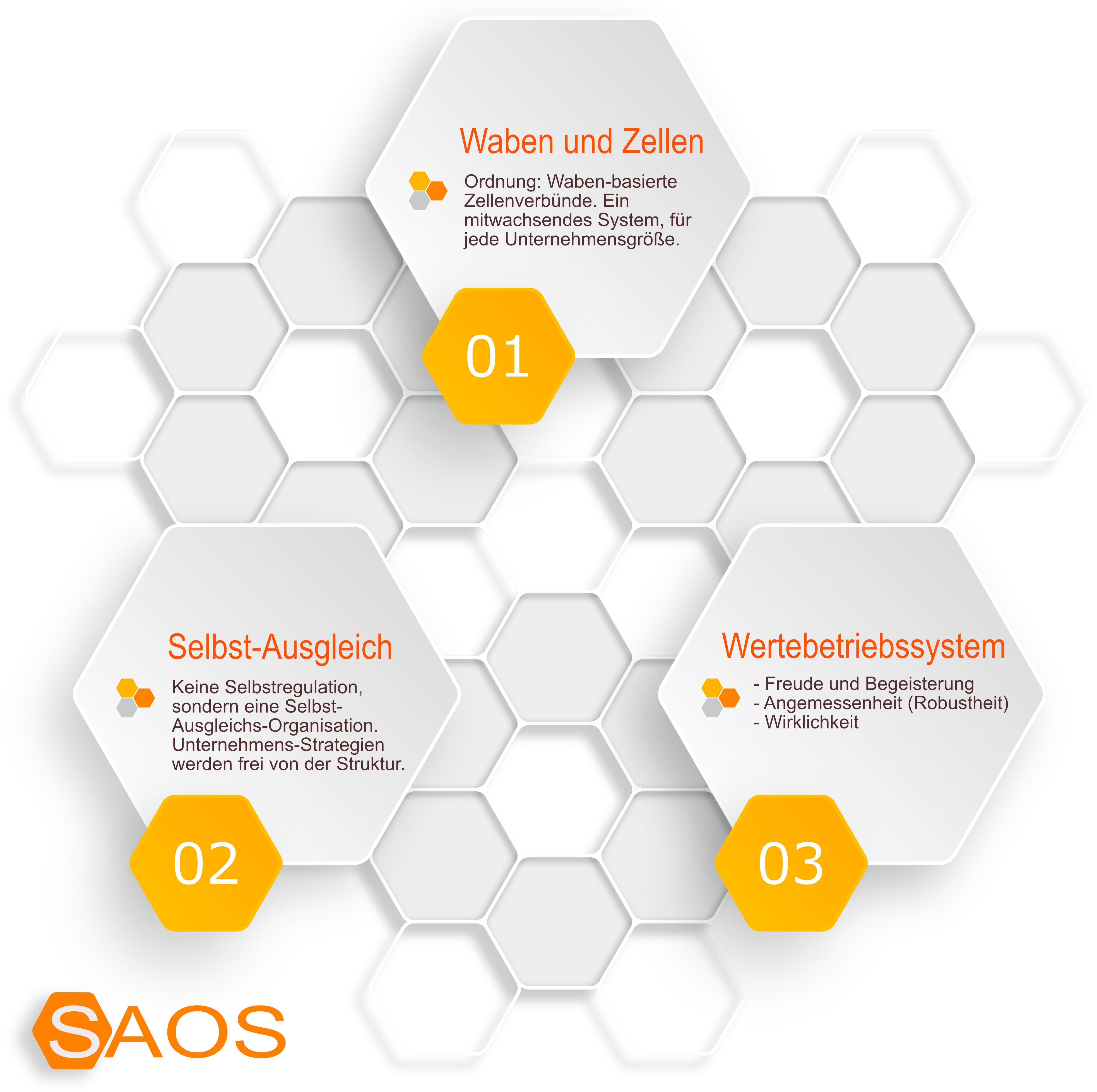 SAOS - das wabenbasierte Organisationssystem für agile Strukturen 